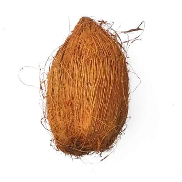 Nariyal with Pani 1pc