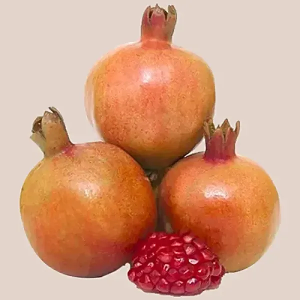Pomegranate. 2pcs (500g appx)